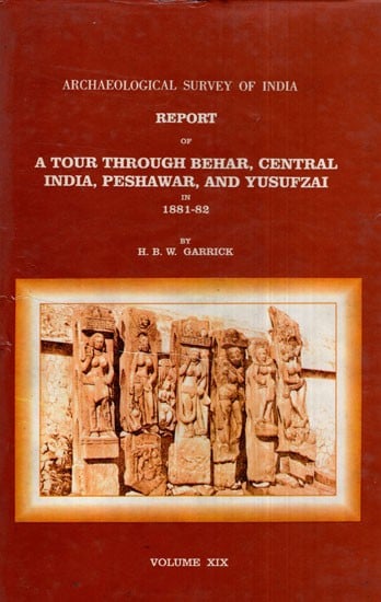 ASI Report of A Tour Through Behar, Central India, Peshawar, and Yusufzai in 1881- 82 (Volume XIX)