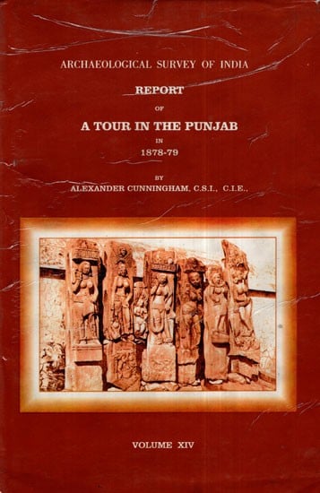 ASI Report of A Tour in The Punjab in 1878- 79