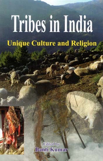 Tribes in India Unique Culture and Religion