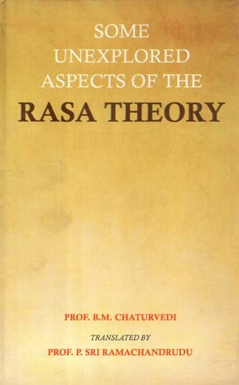 Some Unexplored Aspects of the Rasa Theory