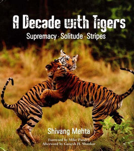 A Decade with Tigers- Supremacy, Solitude Stripes