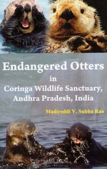 Endangered Otters in Coringa Wildlife Sancturay, Andhra Pradesh, India