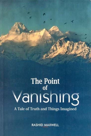 The Point of Vanishing- A Tale of Truth and Things Imagined