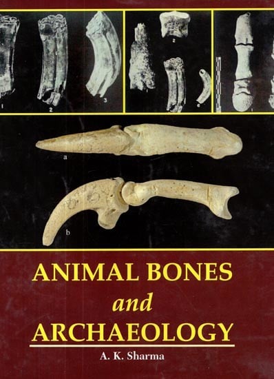 Animal Bones and Archaeology