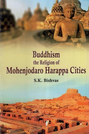 Buddhism the Religion of Mohenjodaro Harappa Cities
