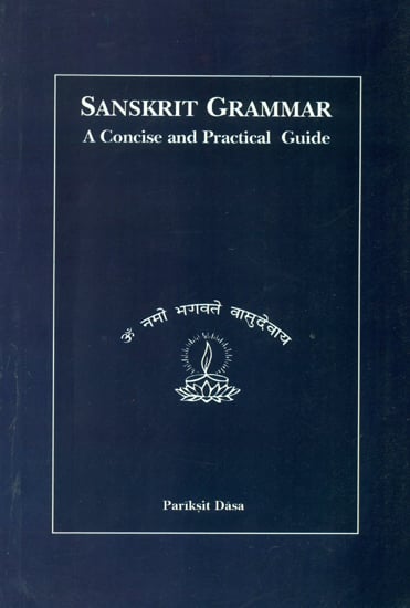 Sanskrit Grammar: A Concise and Practical Guide