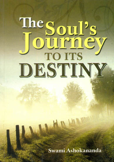 The Soul's Journey to its Destiny