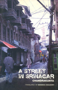 A Street in Srinagar (Chandrakanta)