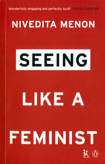 Seeing Like a Feminist