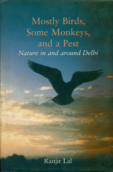 Mostly Birds, Some Monkeys, and a Pest (Nature in and Around Delhi)