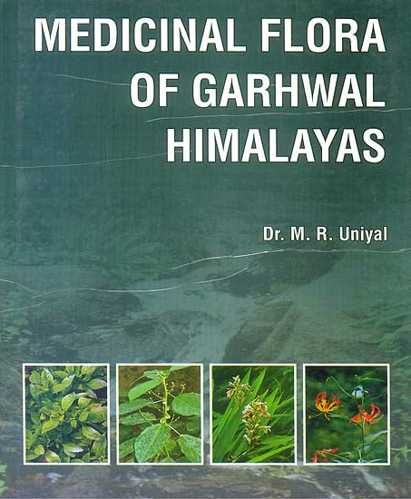 Medicinal Flora of Garhwal Himalayas