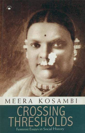 Crossing Thresholds (Feminist Essays in Social History)