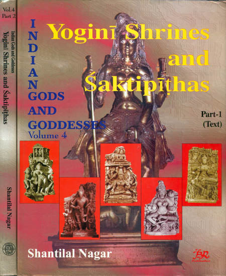 Yogini Shrines and Saktipithas (Set of 2 Volumes)