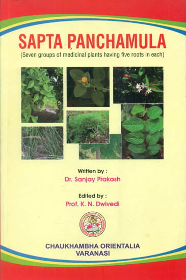 Sapta Panchamula (Seven Groups of Medicinal Plants Having Five Roots in Each)