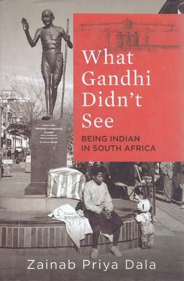 What Gandhi Didn't See: Being Indian in South Africa