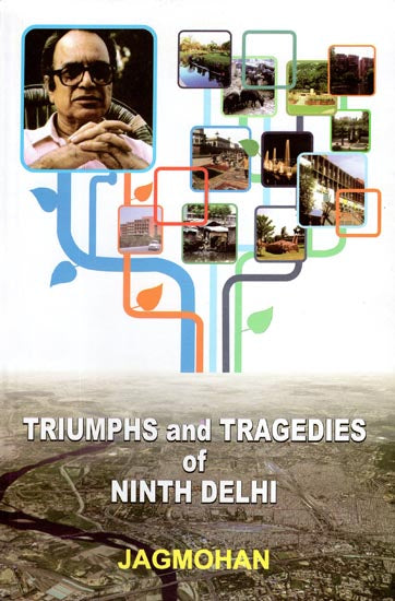 Triumphs and Tragedies of Ninth Delhi