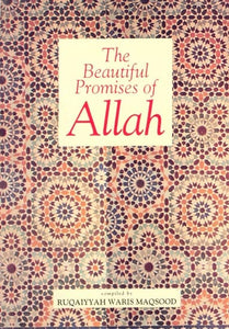 The Beautiful Promises of Allah