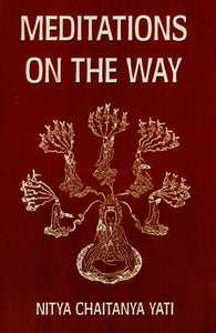 Meditations on the Way (A Contemplative and Personalized Study of the Tao Teh Ching)