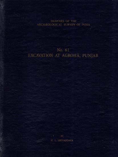 Excavation At Agroha, Punjab (Memoirs of Archaeological Survey of India)