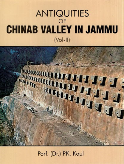 Antiquities of Chinab Valley In Jammu (Vol-II)