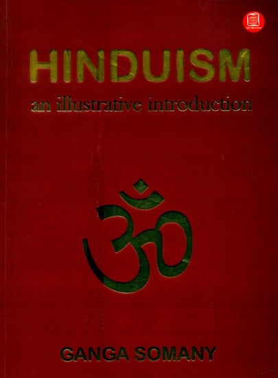 Hinduism- An Illustrative Introduction