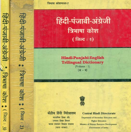 हिंदी पंजाबी अंग्रेजी : Hindi, Punjabi and English Dictionary in Set of 3 Volumes (An Old and Rare Book)