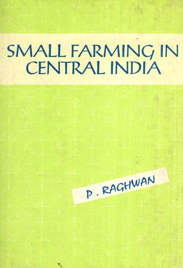 Small Farming In Central India