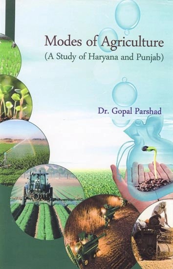 Modes of Agriculture (A Study of Haryana and Punjab)