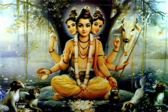 Shri Gurucharitra