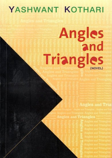 Angles and Triangles (Novel)