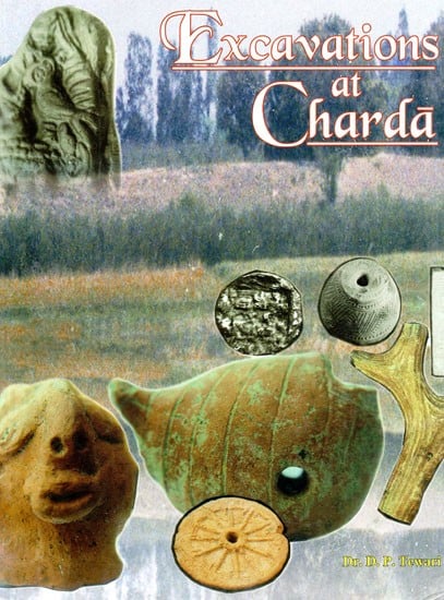 Excavations at Charda