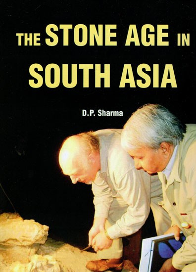 The Stone Age in South Asia