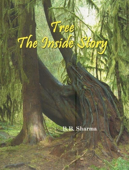 Tree the Inside Story