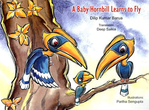 A Baby Hornbill Learns To Fly