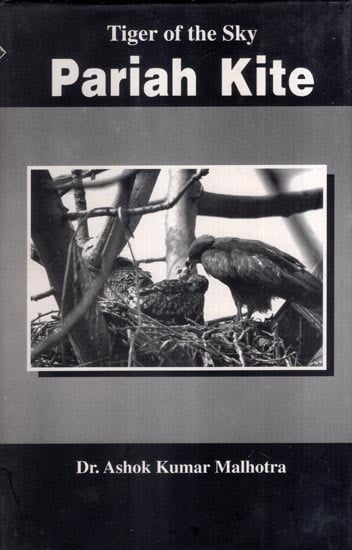 Tiger of the Sky Pariah Kite