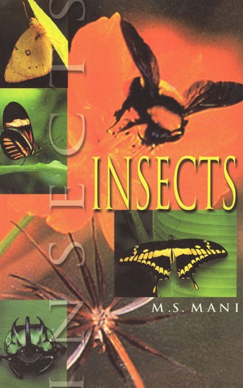 Insects