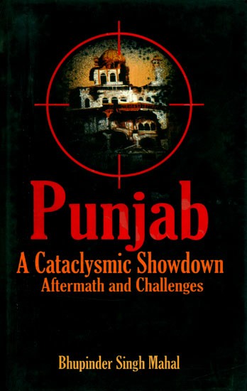 Punjab- A Cataclysmic Showdown (Aftermath and Challenges)