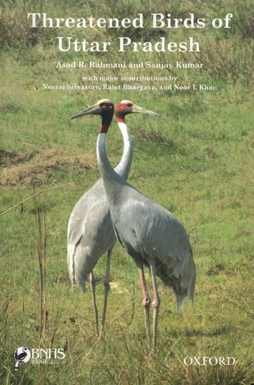 Threatened Birds of Uttar Pradesh